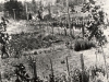 48th Battalion
