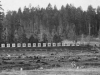 Heal's Rifle Range