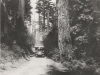 Cordova Bay Bus