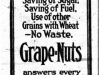 "War Demands Saving of Sugar, Saving of Fuel, Use of other Grains with Wheat - No Waste"