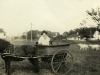 Uwins' Milk Cart