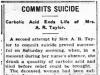 Taylor's Suicide