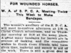 "For Wounded Horses"