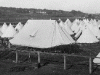 Willows Camp