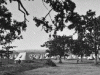A View of Willows Camp