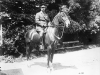Currie A-Horse