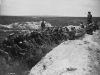 The Story of Vimy Ridge
