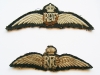 V.R. Pauline's Wings